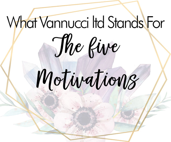 What Vannucci ltd Stands For - The 5 Motivations