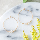 Herkimer Encrusted Gold Hoop Earring