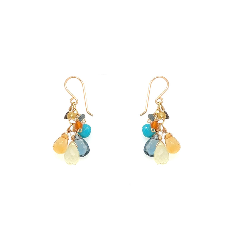 Going to the Sun Road Gemstone Cluster Earring
